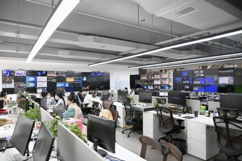 营收15 投入研发,小鸟科技如何坐稳国内视听领域 领头羊